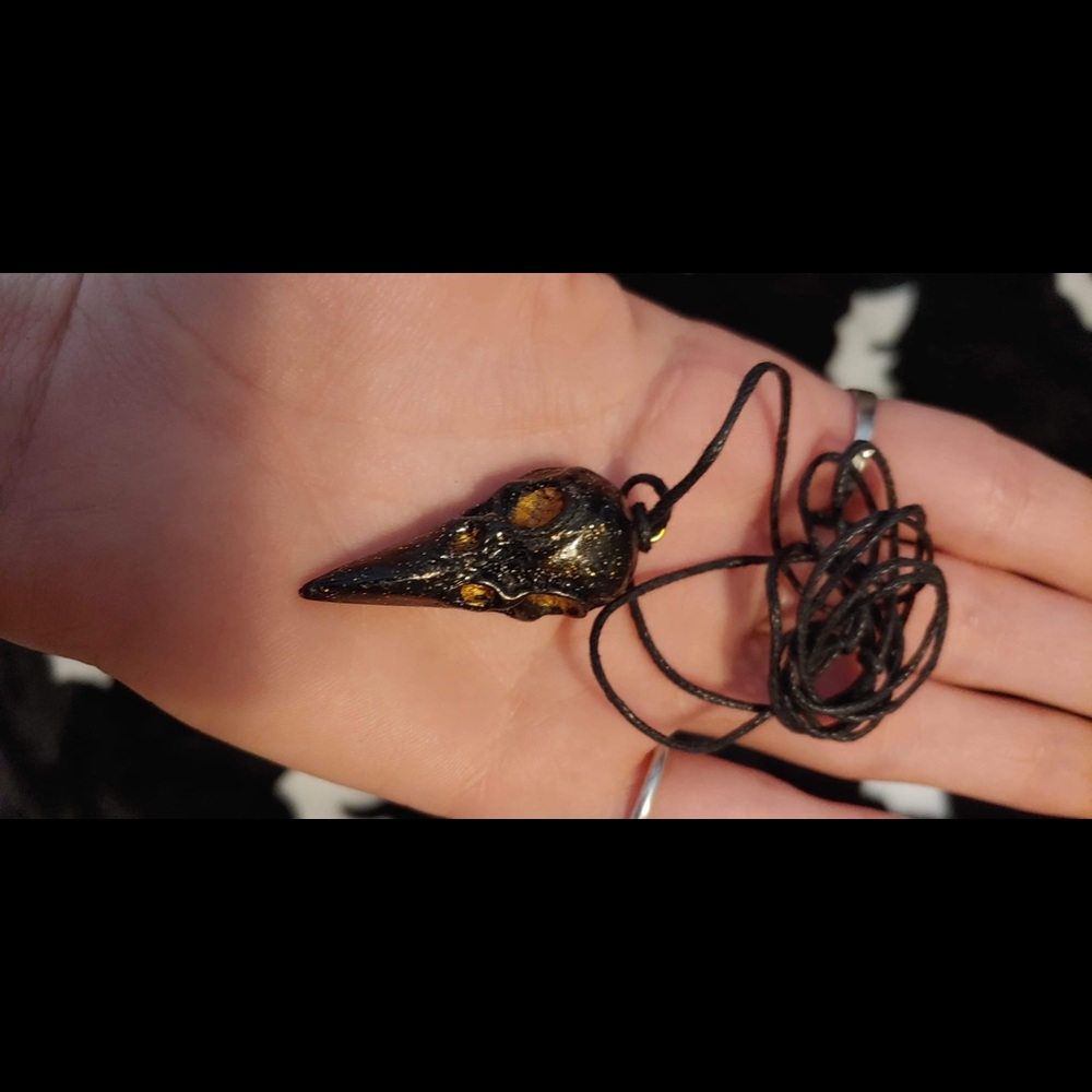 Resin Raven Skull Necklace